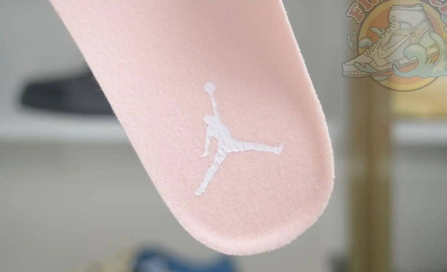 Jordan Air Jordan 11 Low WMNS