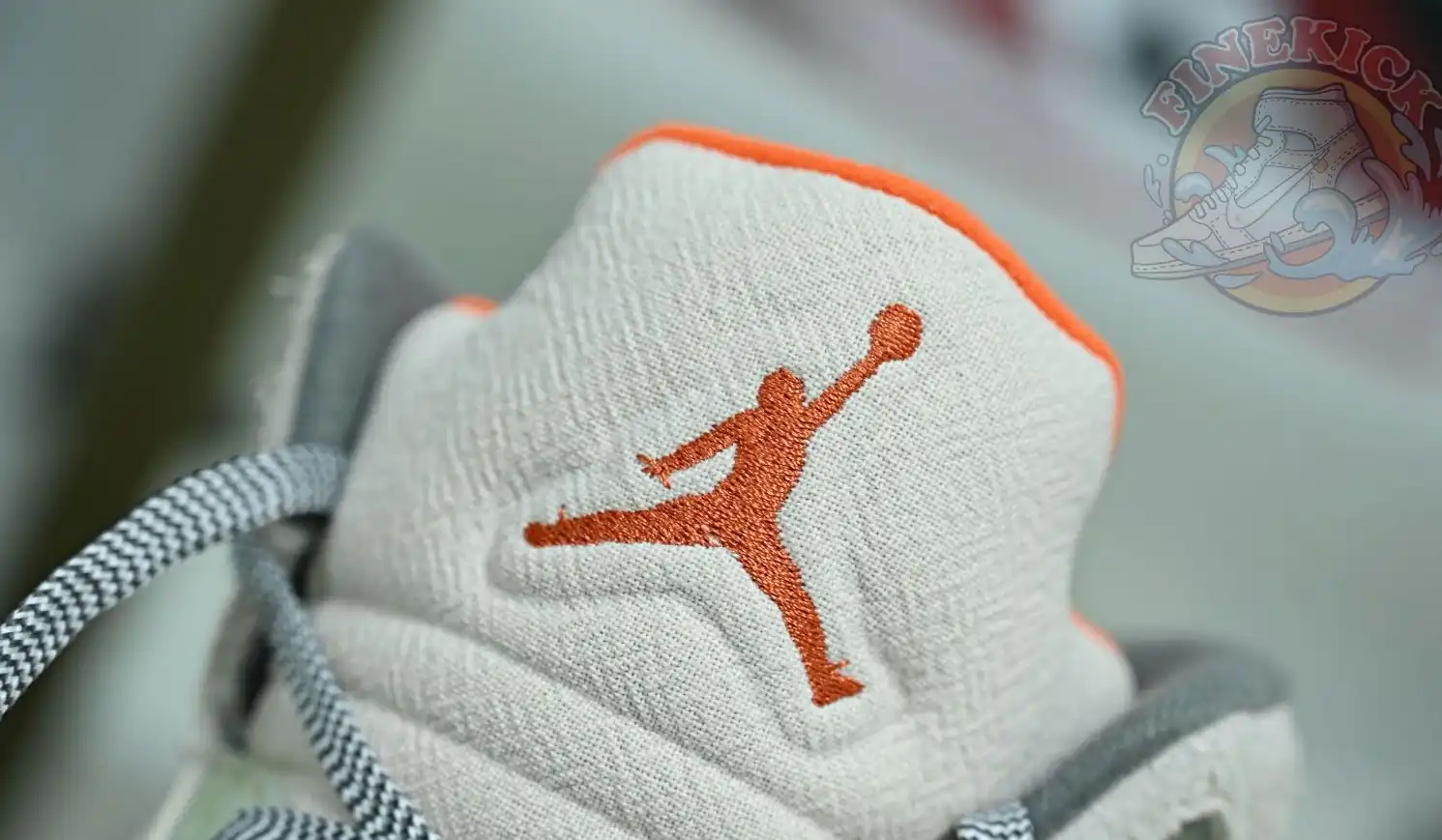 Jordan Air Jordan5 SE