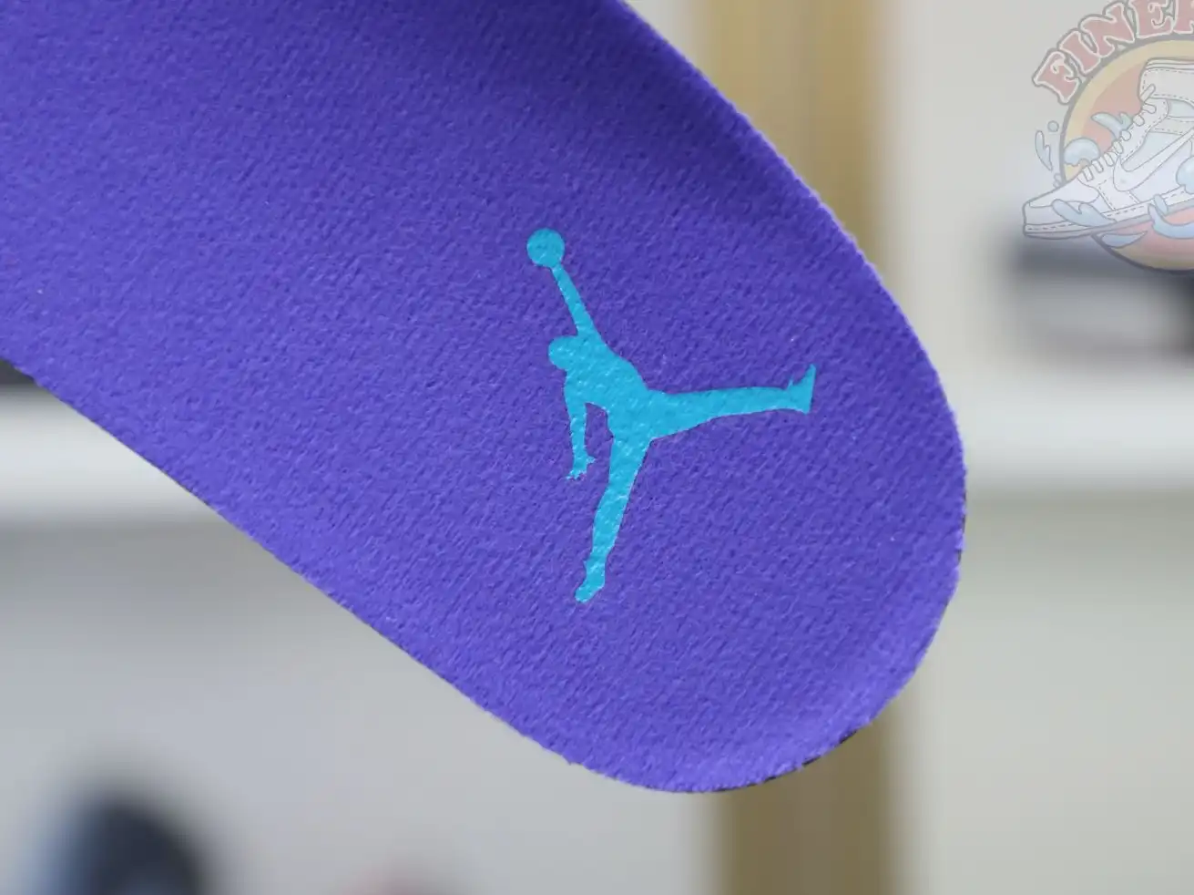 Jordan Air Jordan6