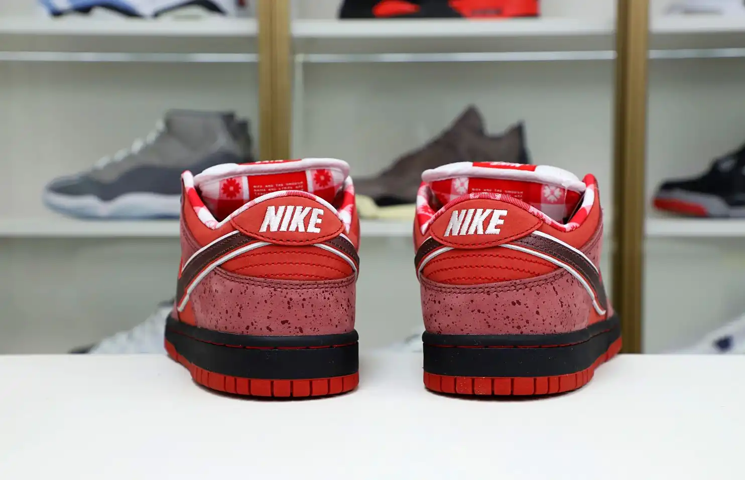 hype Concepts x Nike Dunk SB Low Red Lobster