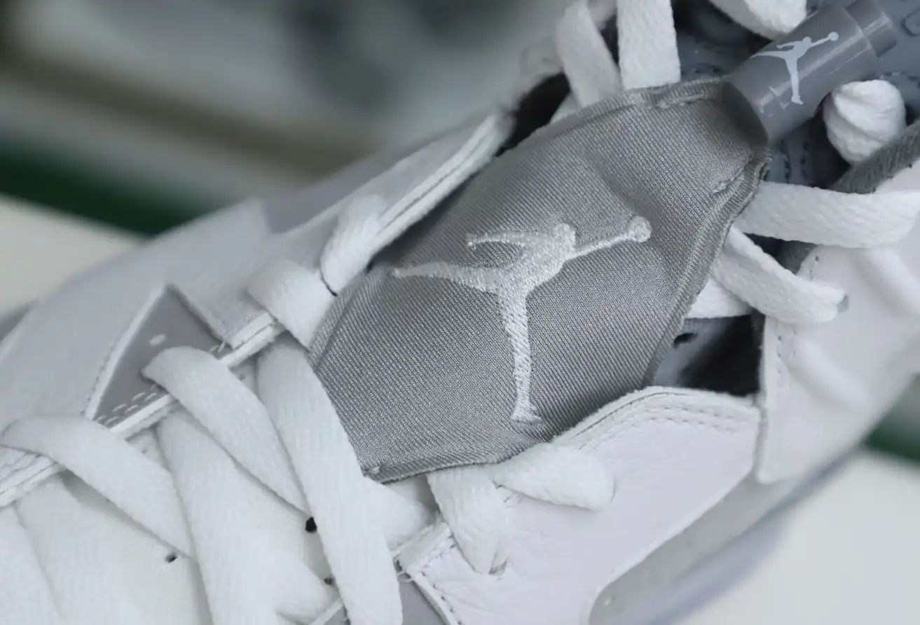 AIR JORDAN 6 COOL GREY
