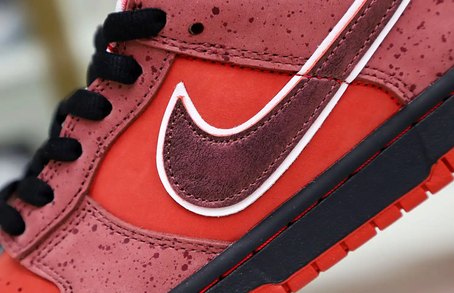 hype Concepts x Nike Dunk SB Low Red Lobster