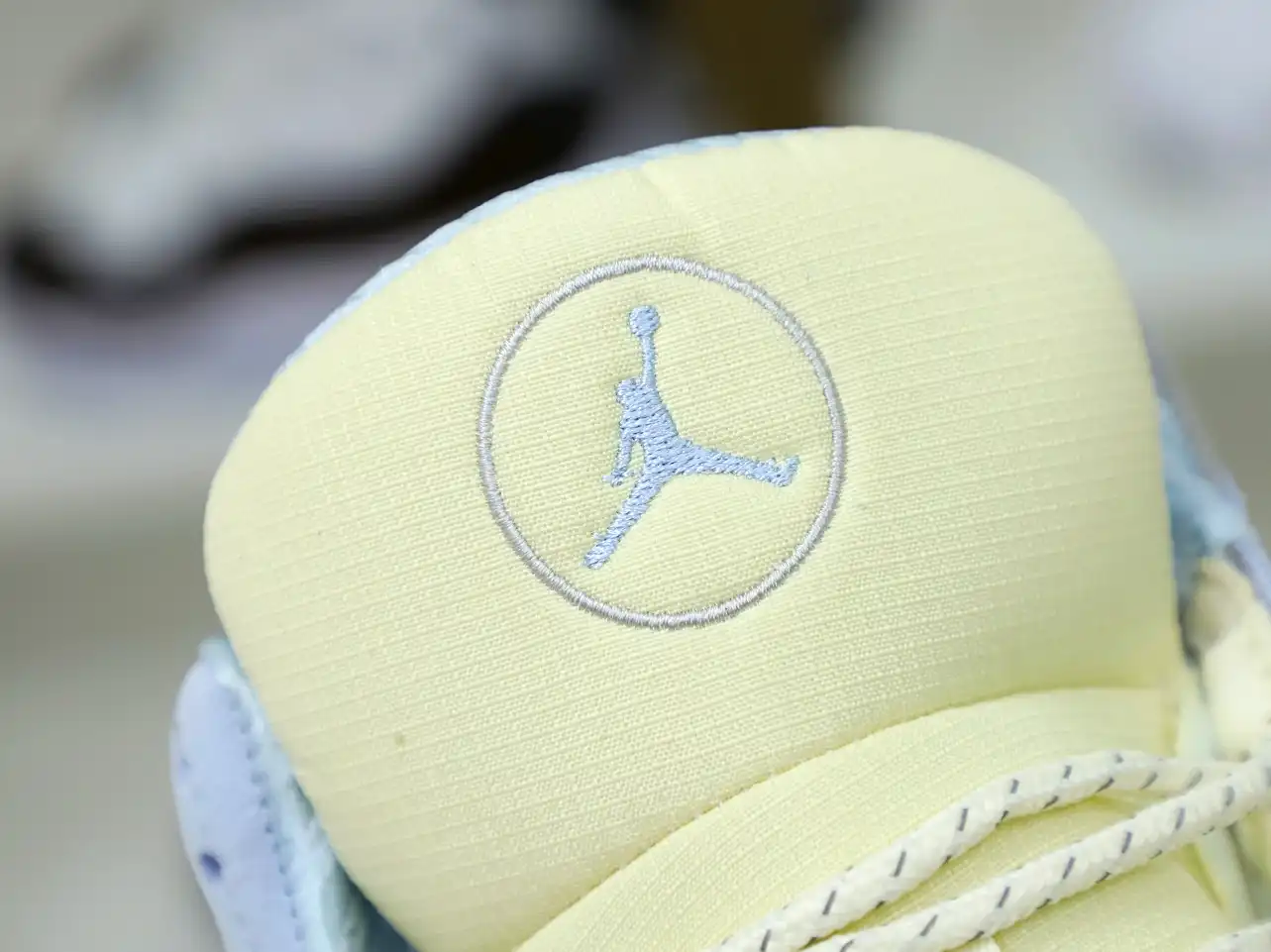 AIR JORDAN AIR JORDAN 13 SOLEFLY
