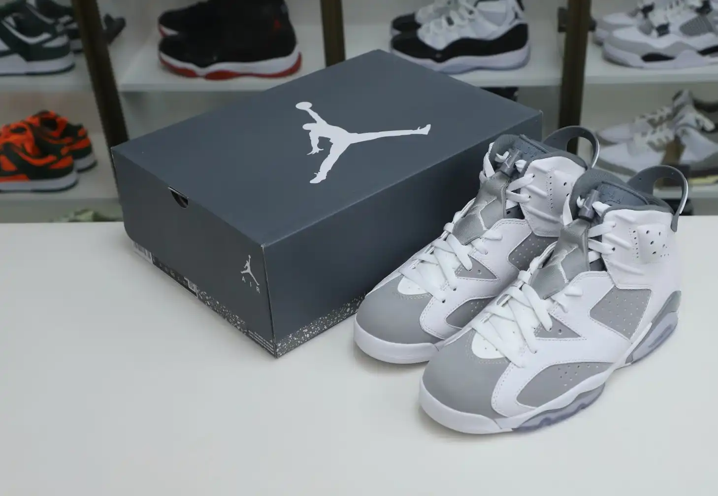 AIR JORDAN 6 COOL GREY