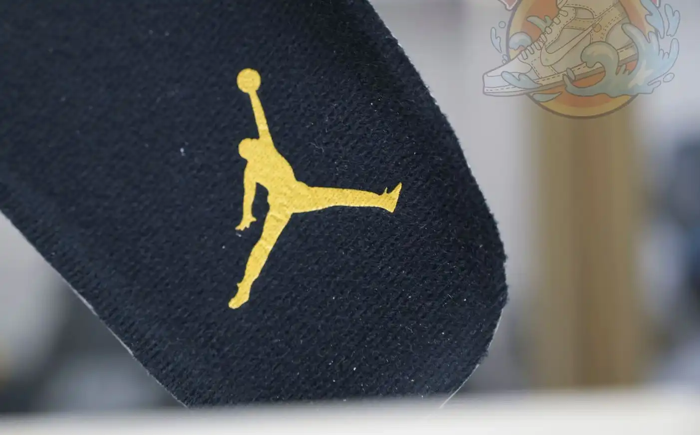 Air Jordan 6 