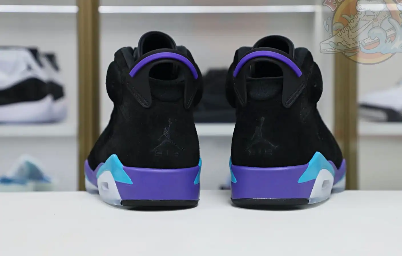 Jordan Air Jordan6