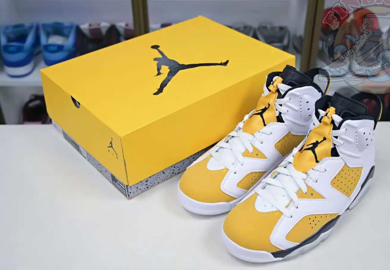 Air Jordan 6 