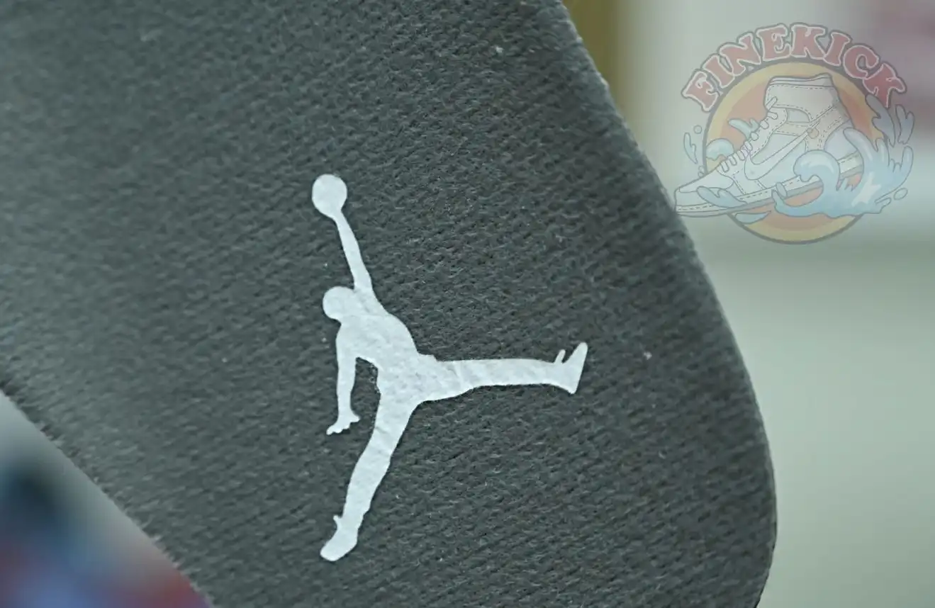 Jordan Air Jordan5 SE