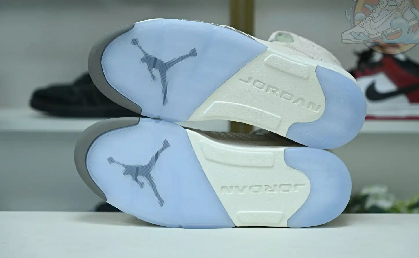 Jordan Air Jordan5 SE