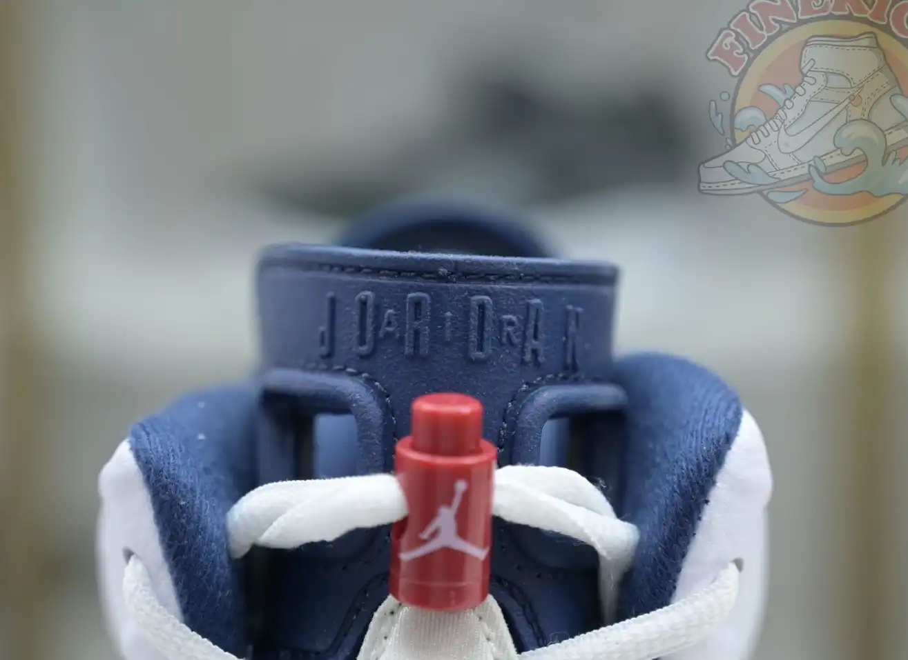 Jordan Air Jordan 6