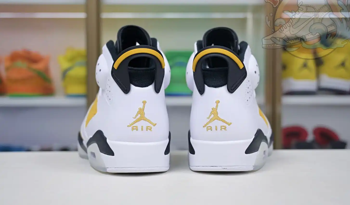 Air Jordan 6 