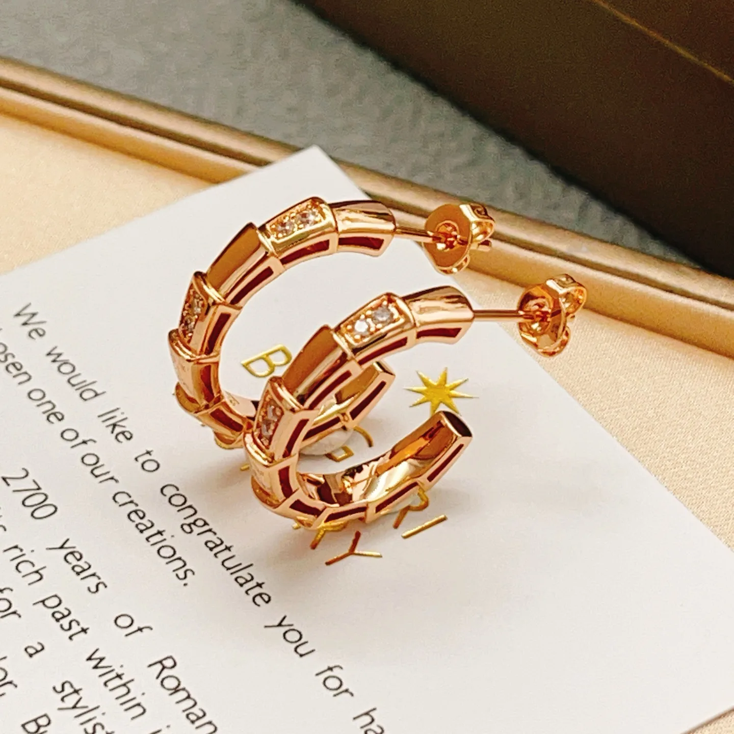 Bvlgari Earrings Lightweight 5082