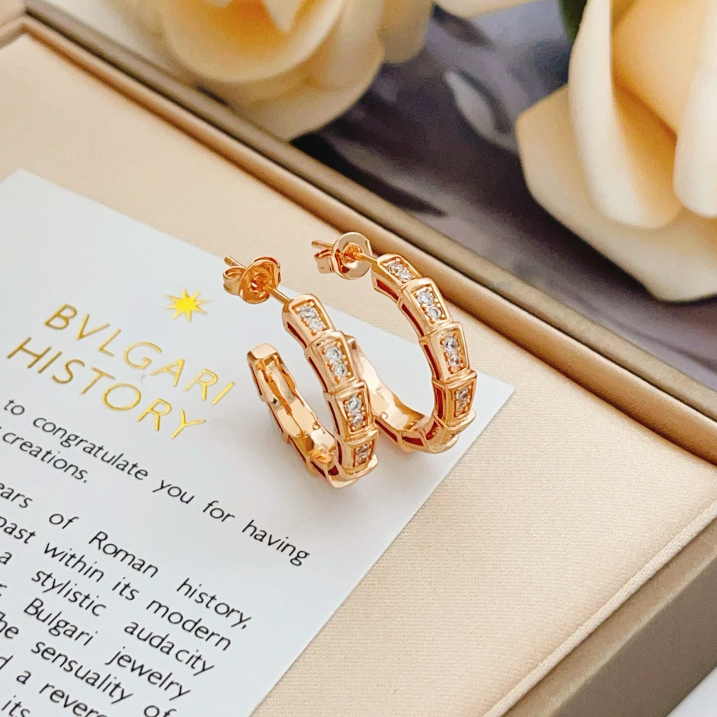 Contemporary Bvlgari Earrings 5104