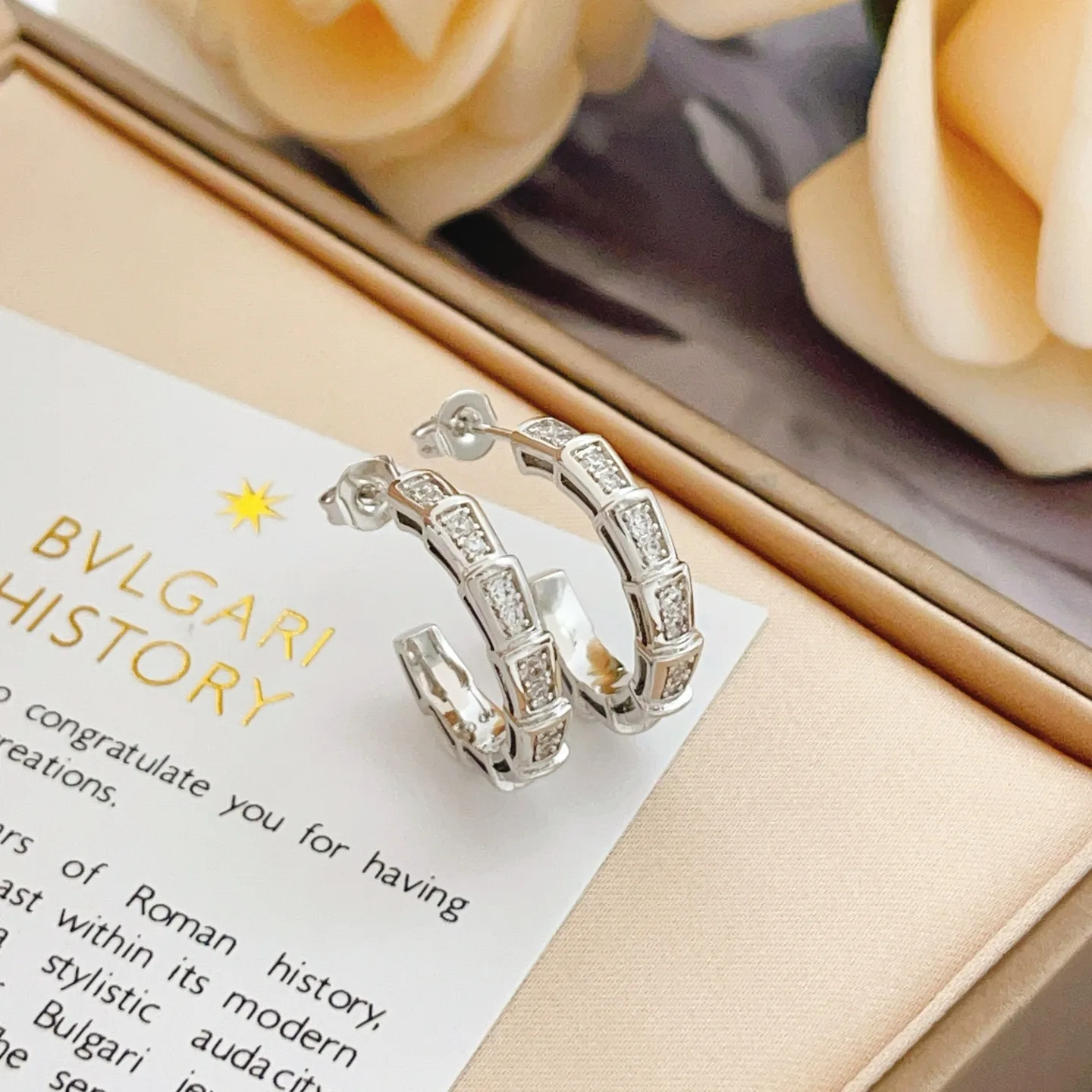 Bvlgari Earrings Lightweight 5097