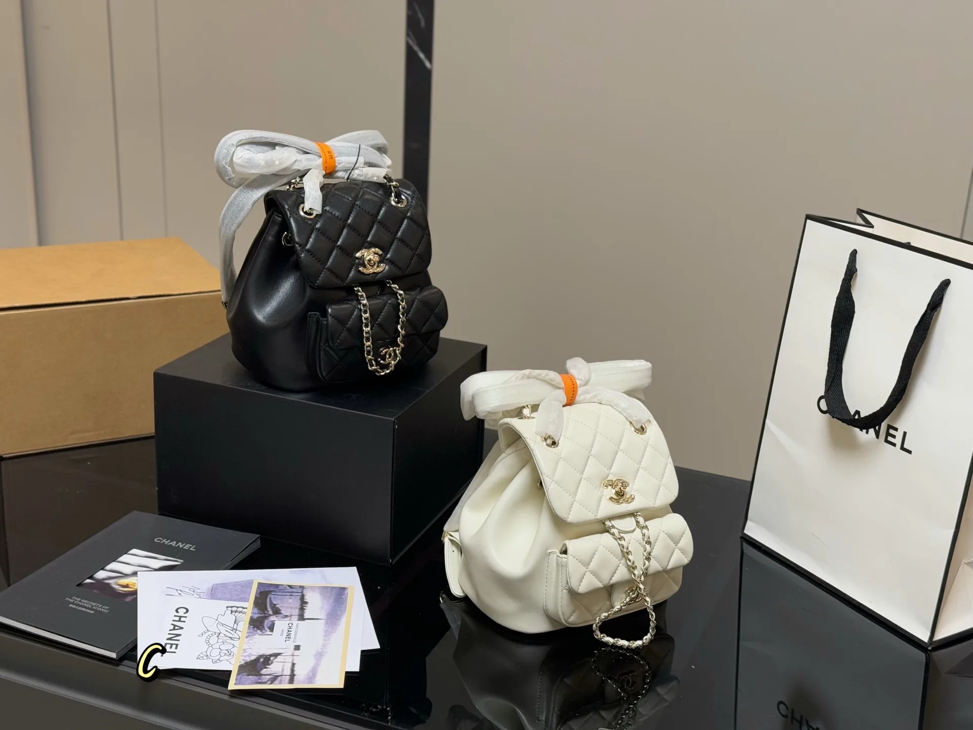 Chanel Backpack Bright 2789