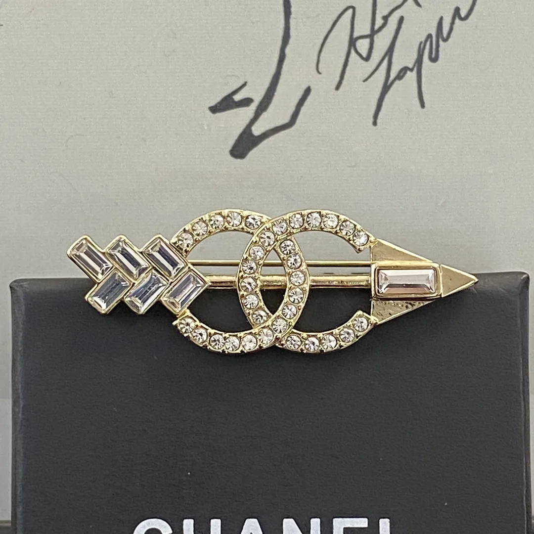 Unique Chanel Brooch 2858