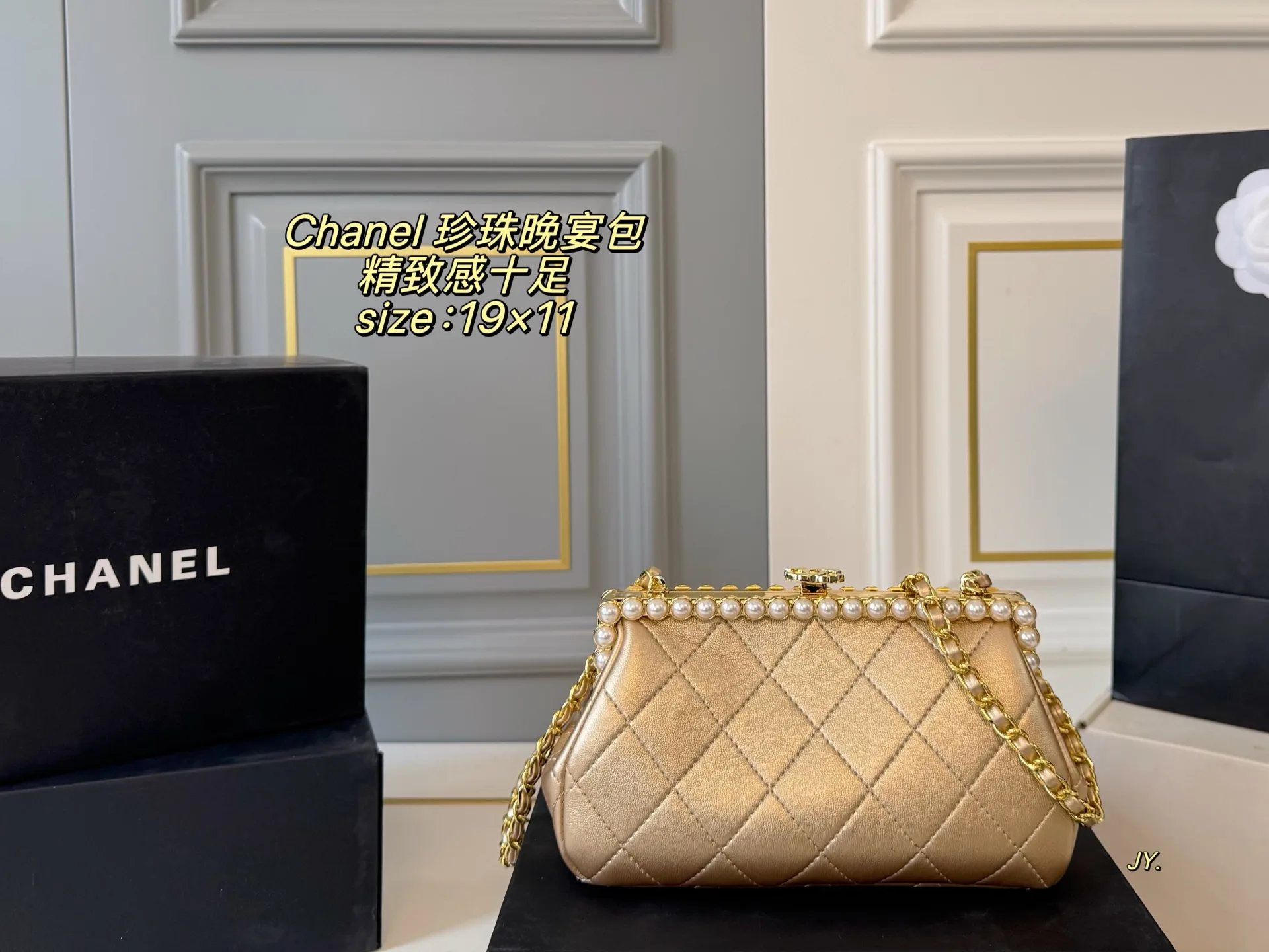 Chanel Dinner Package FreshLook 2981