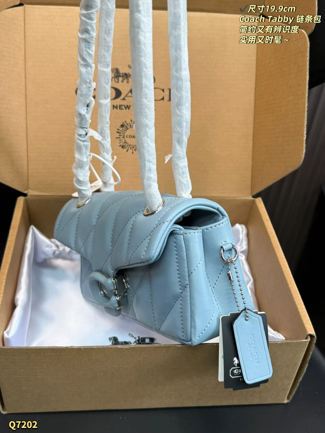 Coach Chain Bag Classic 7046