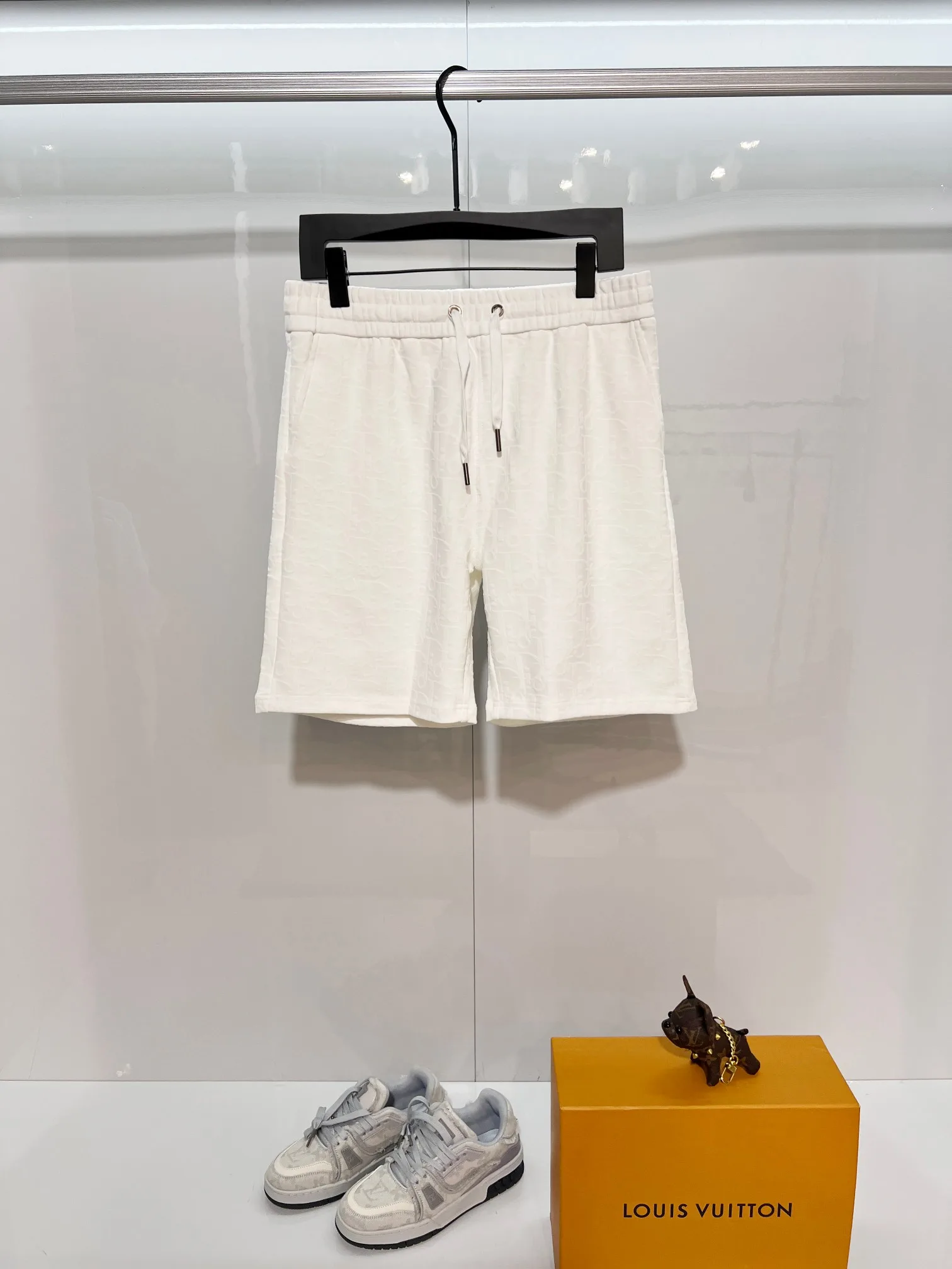 Dior Shorts GoAnywhere 3972