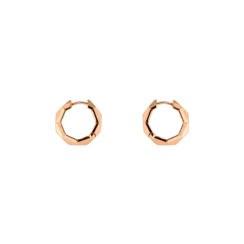 Trendy Gucci Earrings 2749