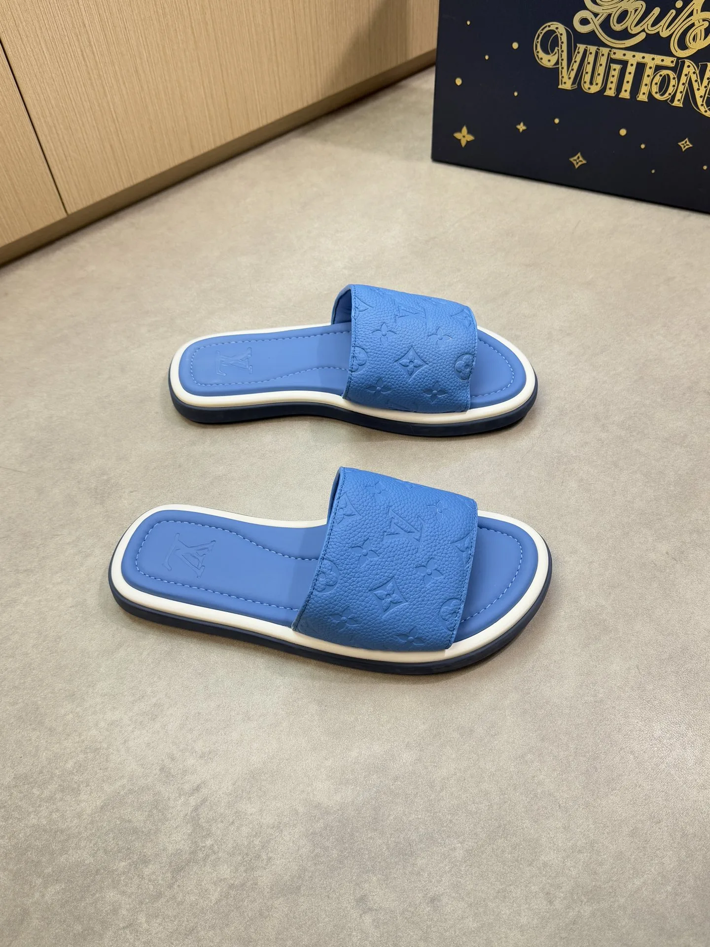 GoAnywhere Louis Vuitton Slippers 995