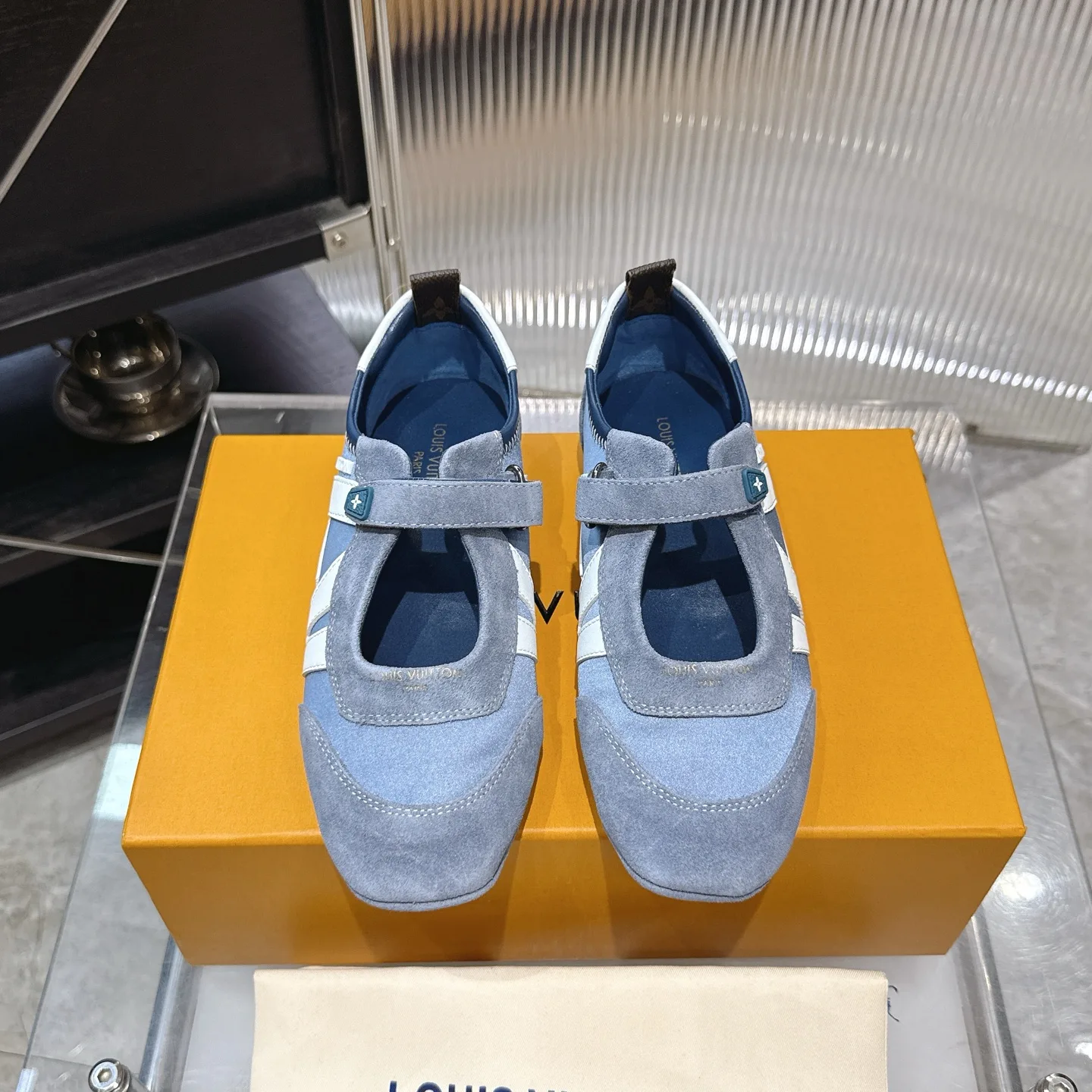 Sleek Louis Vuitton Sneakers 1071