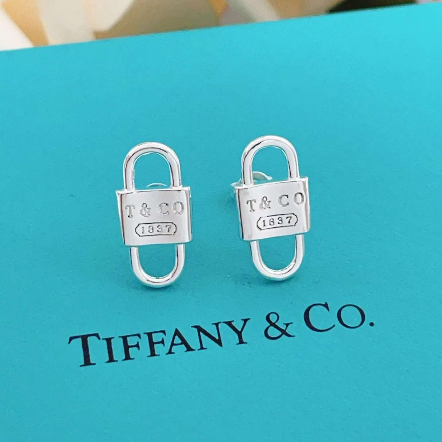 Tiffany Earrings Resilient 5426