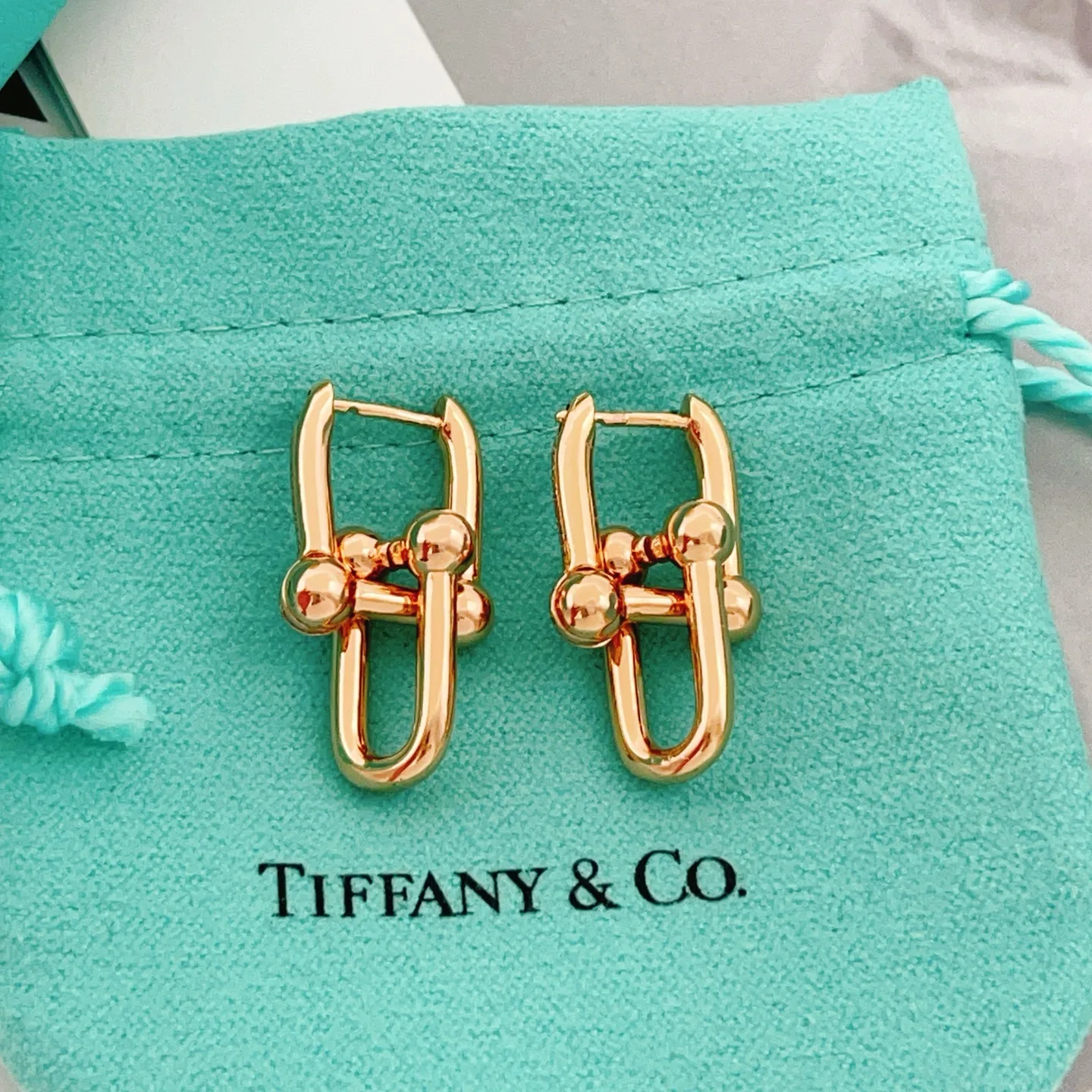 Tiffany Earrings Classic 5419