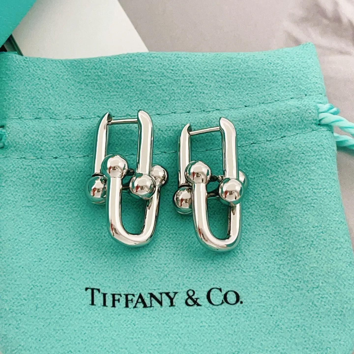 SunProtective Tiffany Earrings 5422