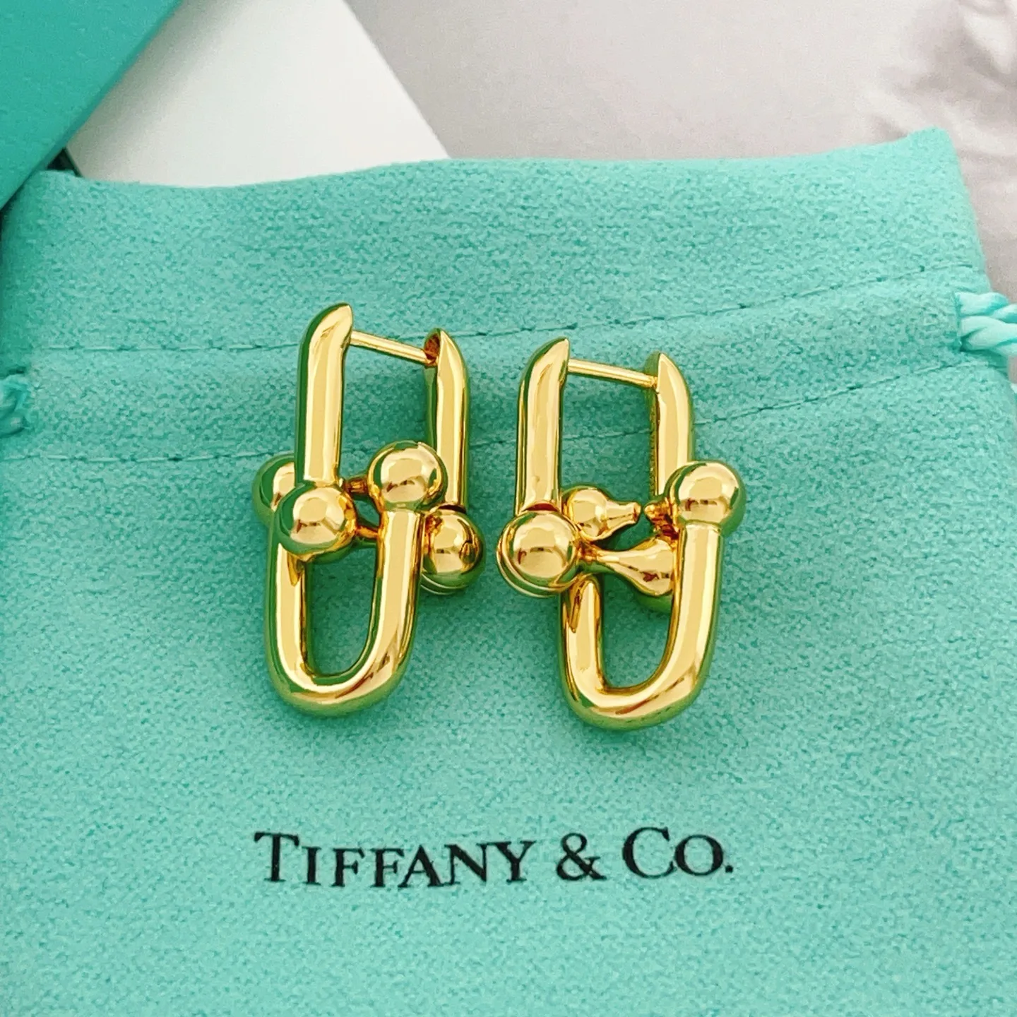 Tiffany Earrings Snug 5421