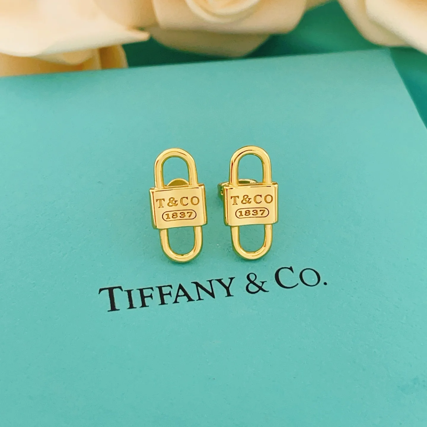 Tiffany Earrings SmartChoice 5424