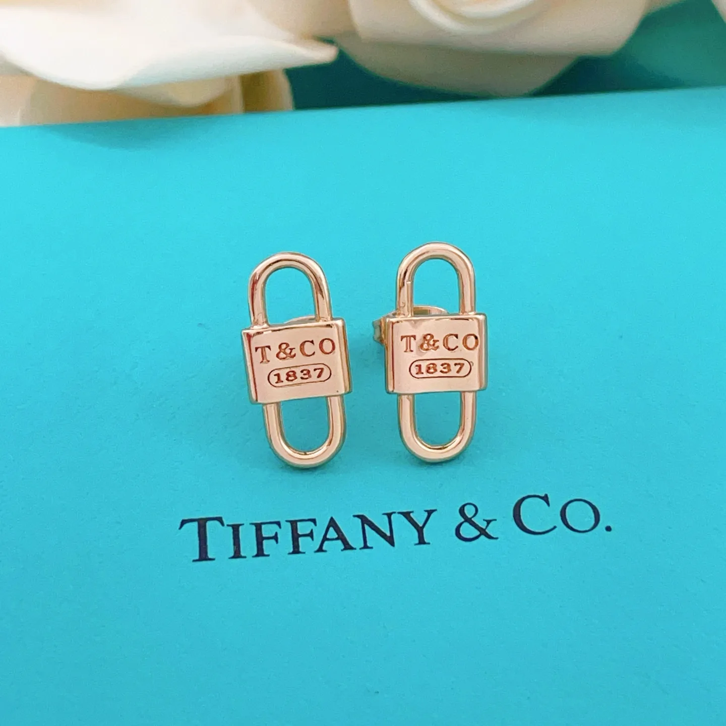 Premium Tiffany Earrings 5425