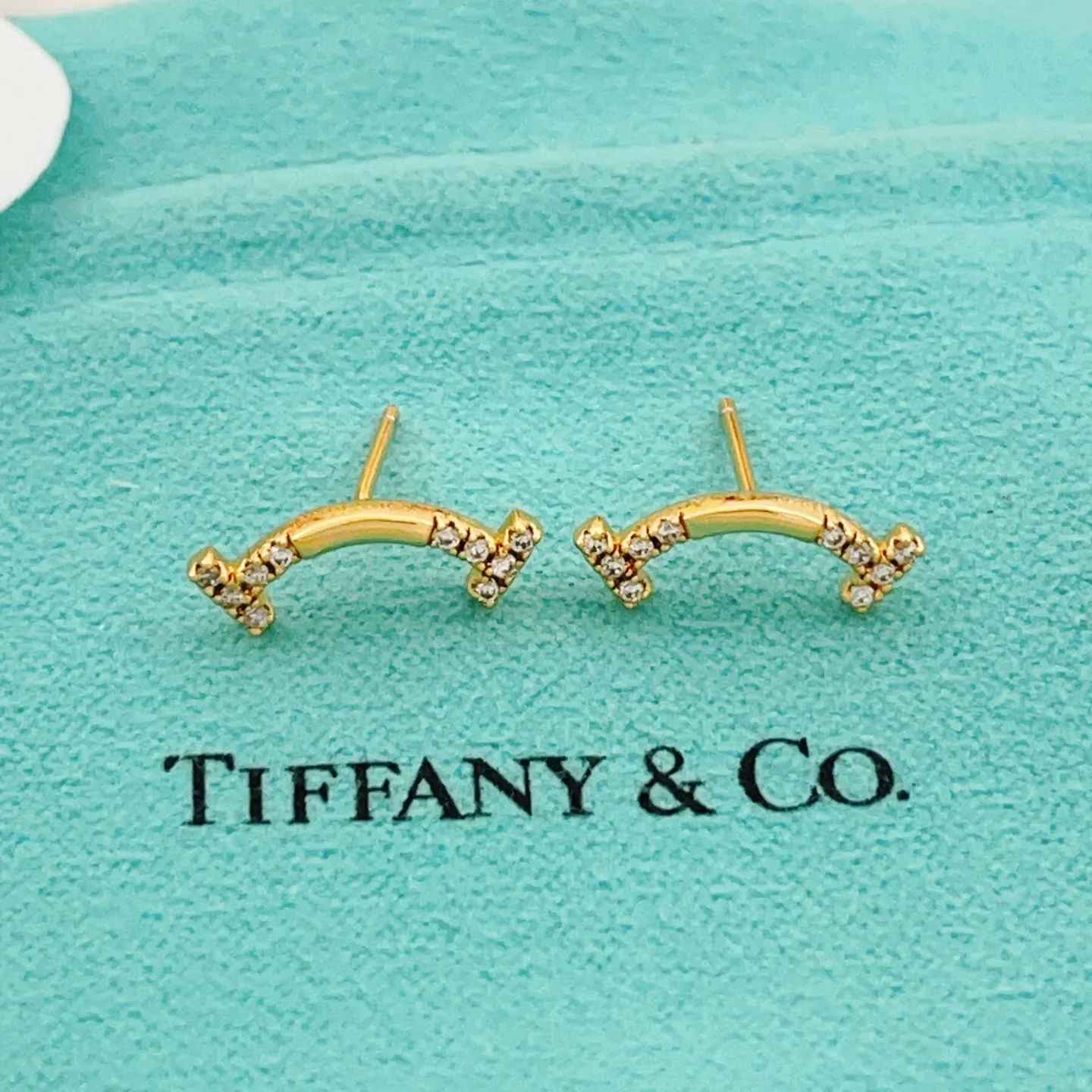 Tiffany Earrings Premium 5406