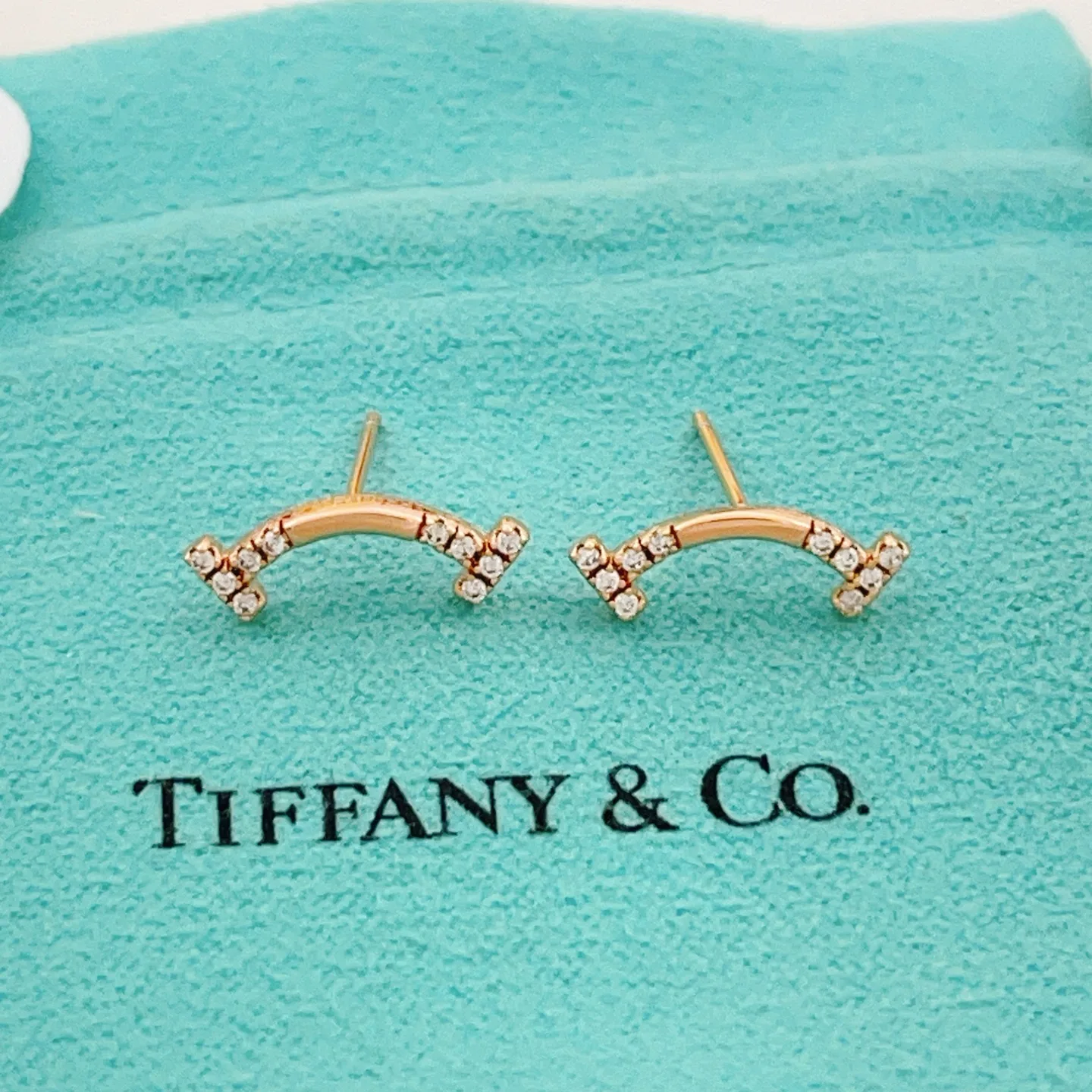 Resilient Tiffany Earrings 5408