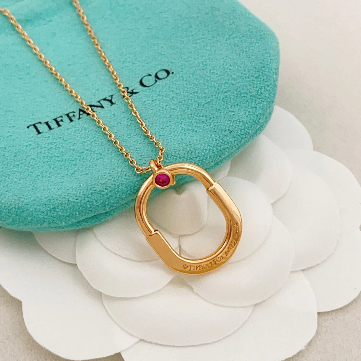 Tiffany Necklace Upgraded 5491