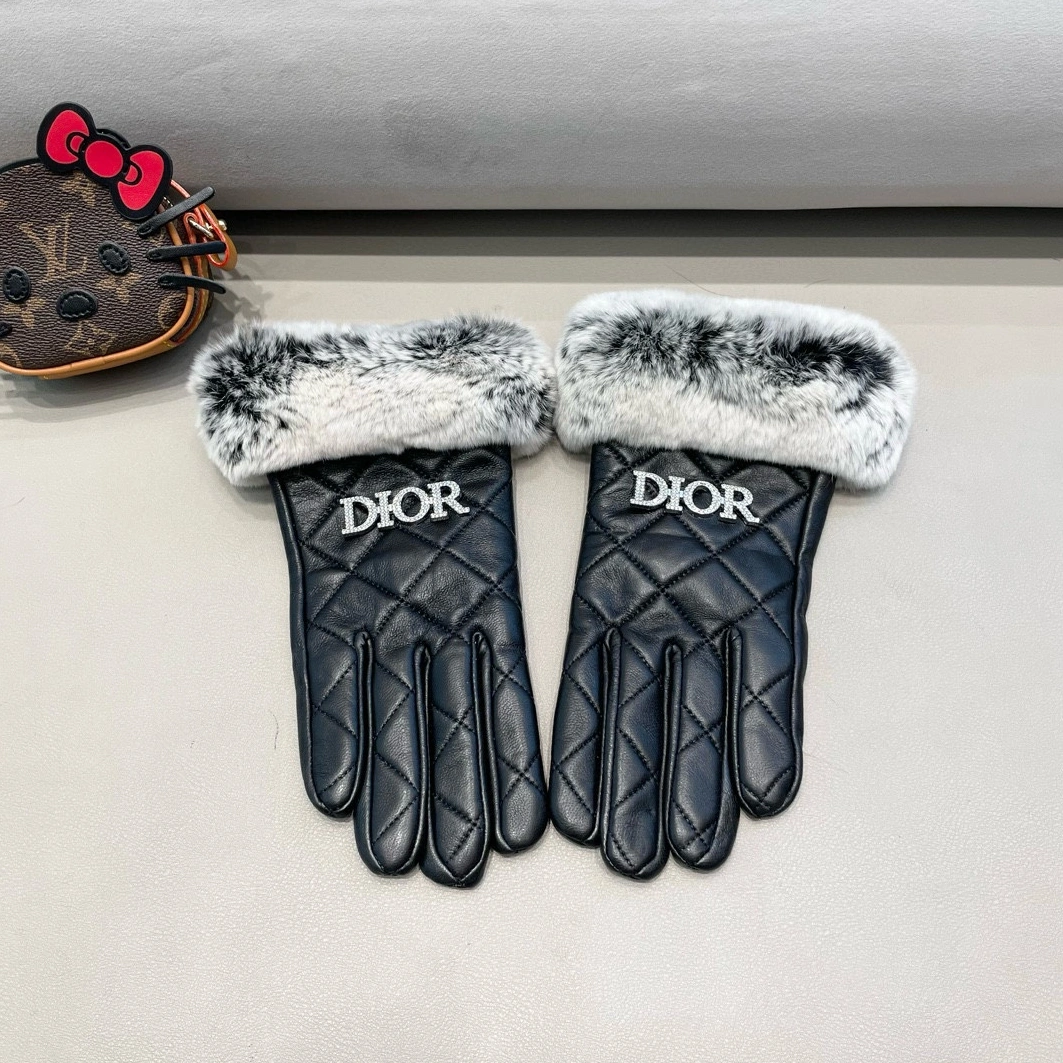 Affordable 207 Christian Dior Gloves For Women