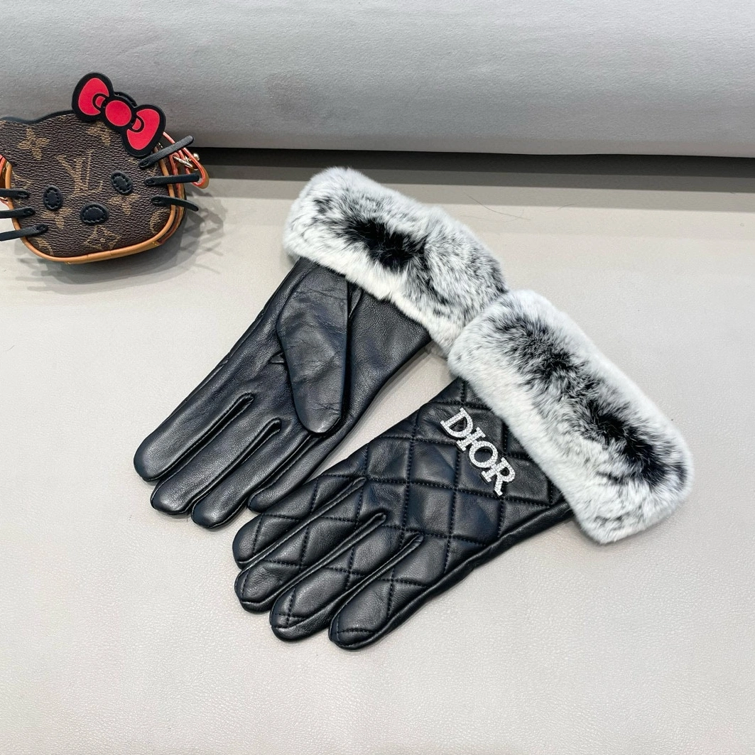 Affordable 207 Christian Dior Gloves For Women