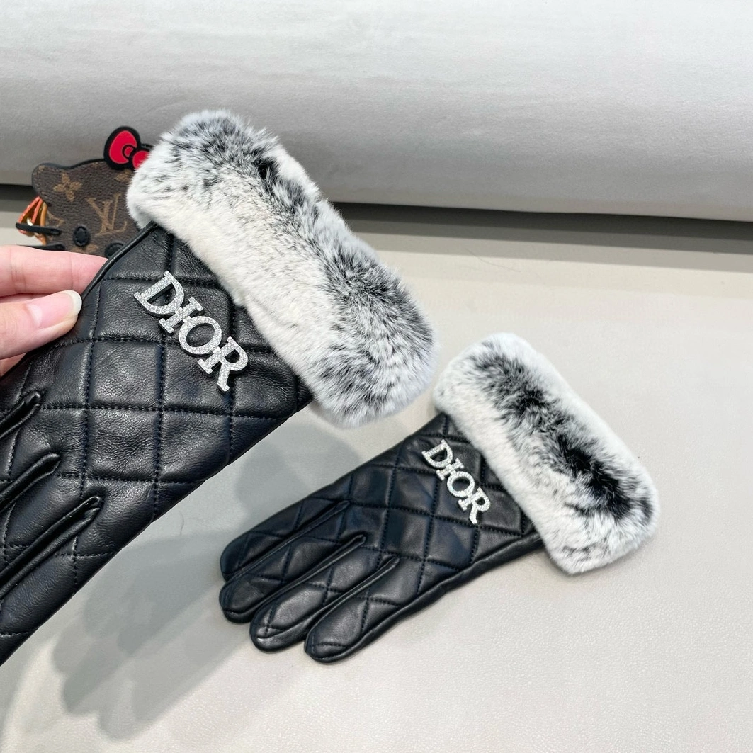 Affordable 207 Christian Dior Gloves For Women