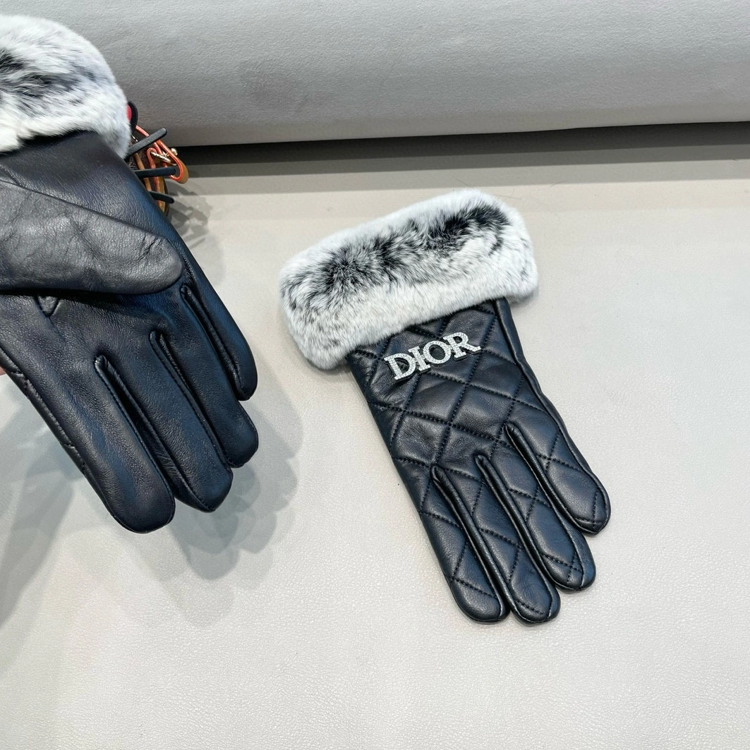 Affordable 207 Christian Dior Gloves For Women