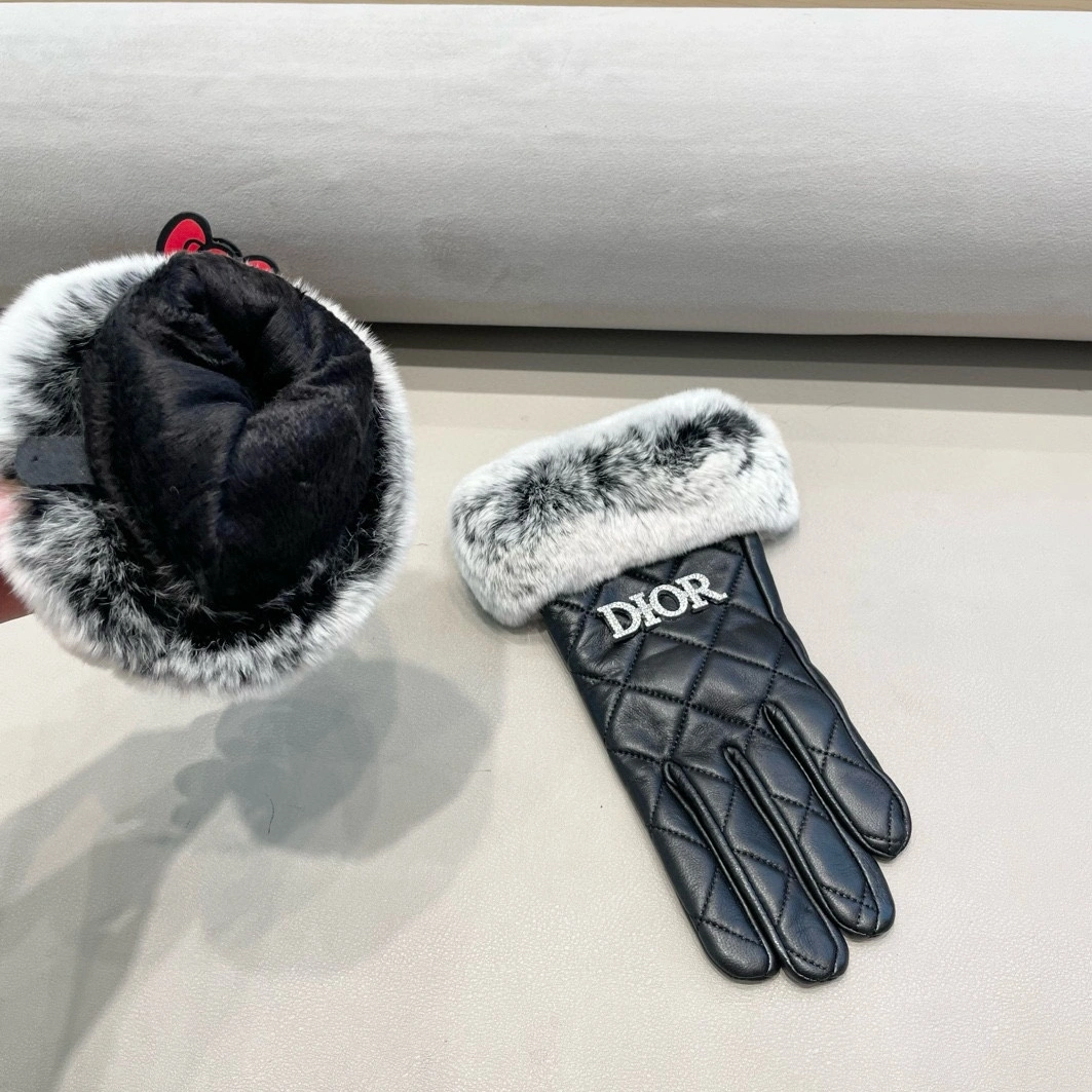 Affordable 207 Christian Dior Gloves For Women
