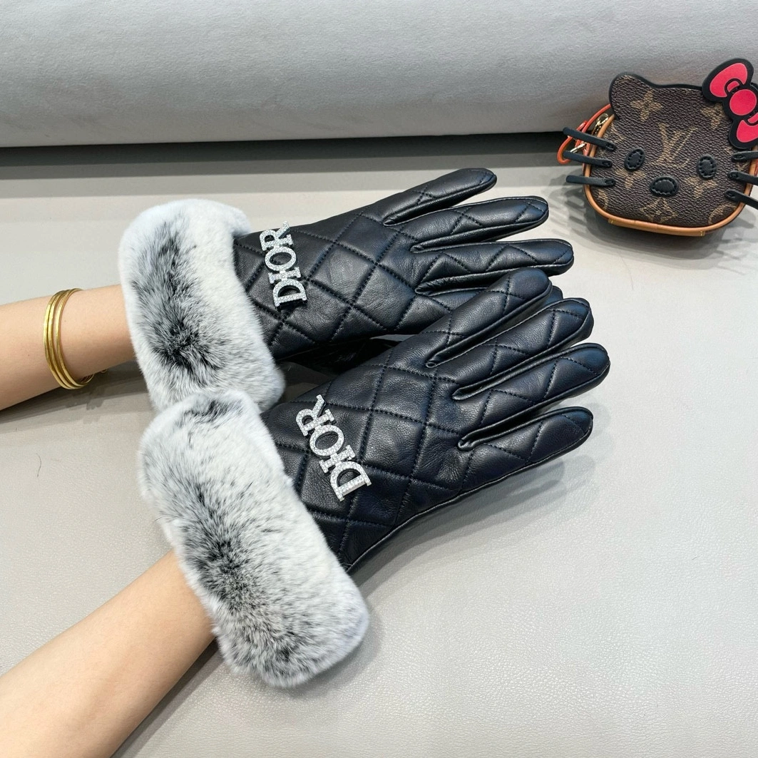 Affordable 207 Christian Dior Gloves For Women