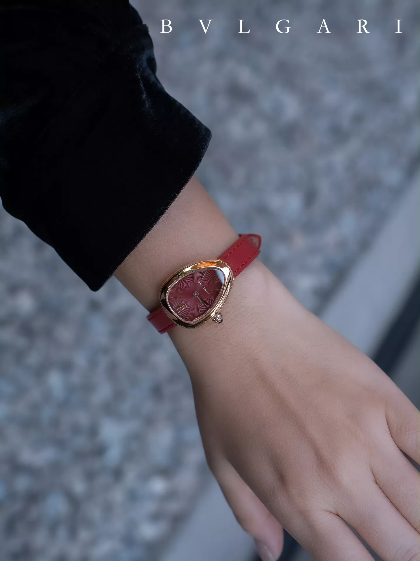 Affordable 3383 Bvlgari AAA Quality Watches For Women
