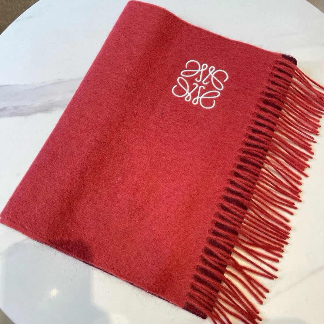 Affordable 5769 LOEWE Scarf