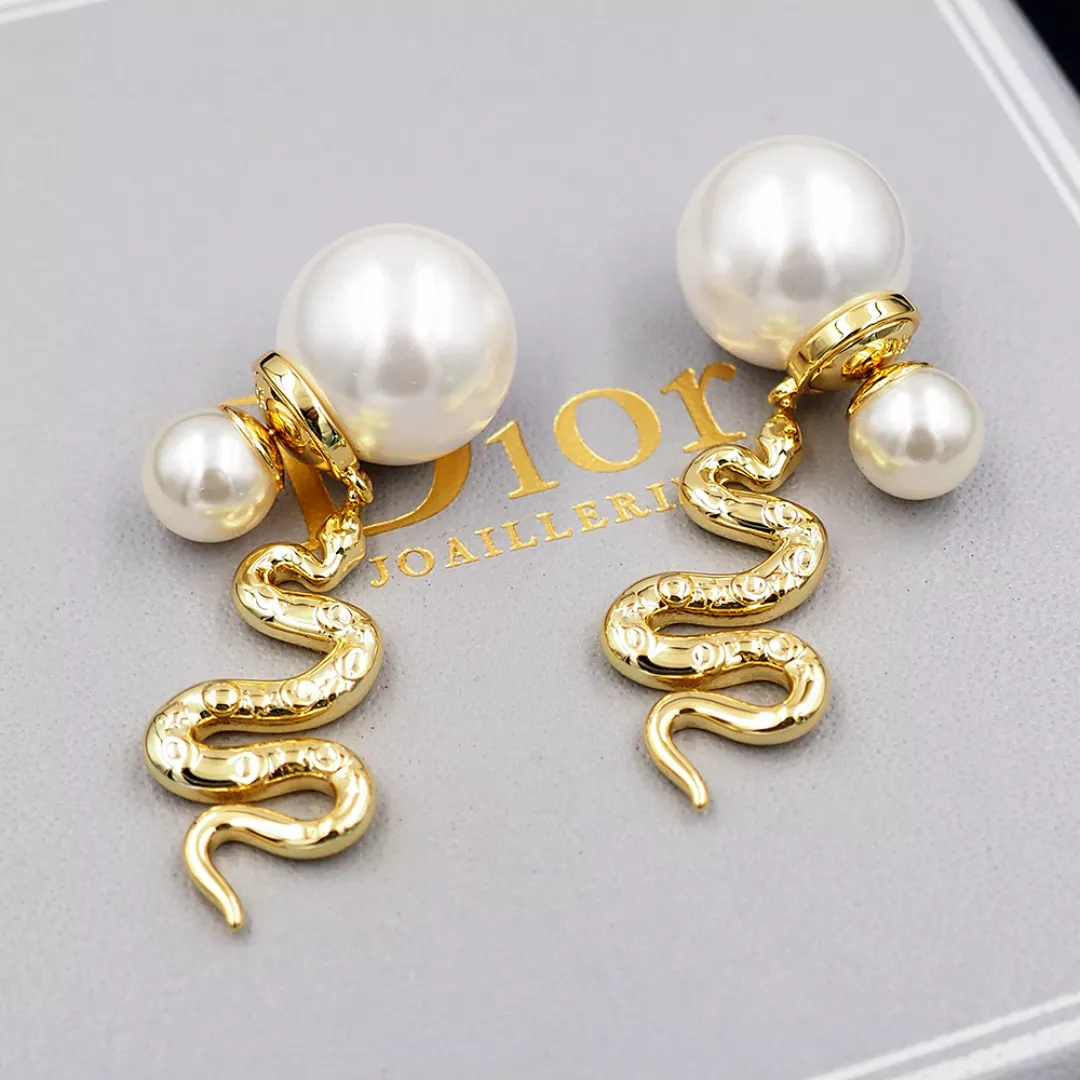 Affordable 5952 Christian Dior Earrings For Women