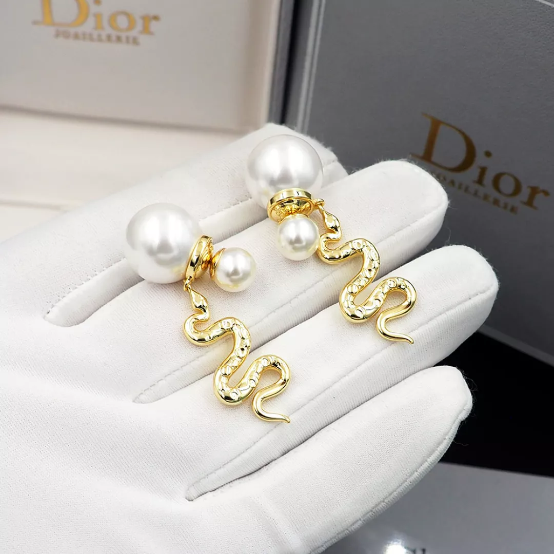 Affordable 5952 Christian Dior Earrings For Women