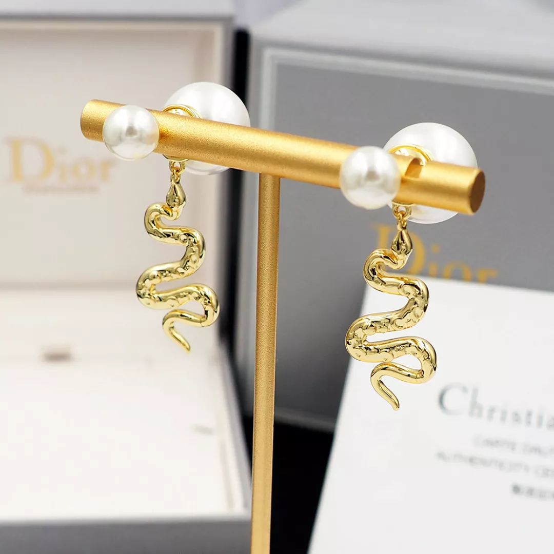 Affordable 5952 Christian Dior Earrings For Women