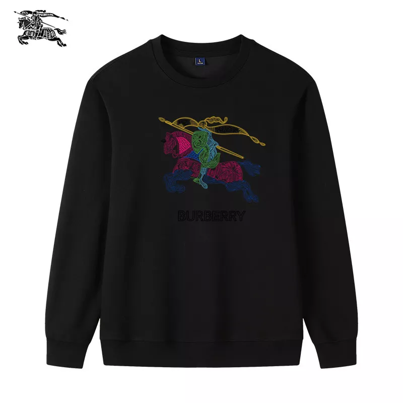 Affordable 7513 Burberry Hoodies Long Sleeved For Men
