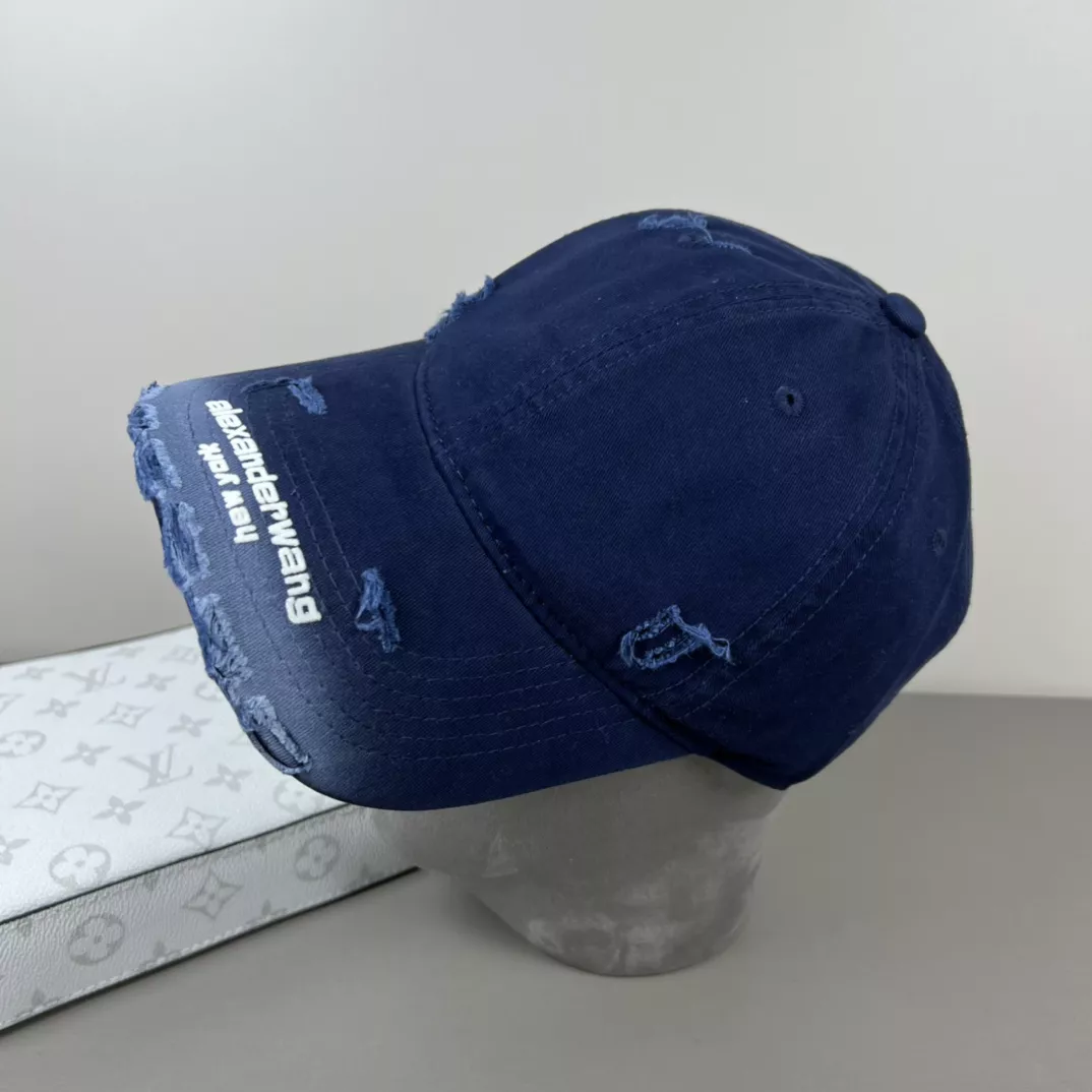 Alexander Wang Caps Trendsetting 221