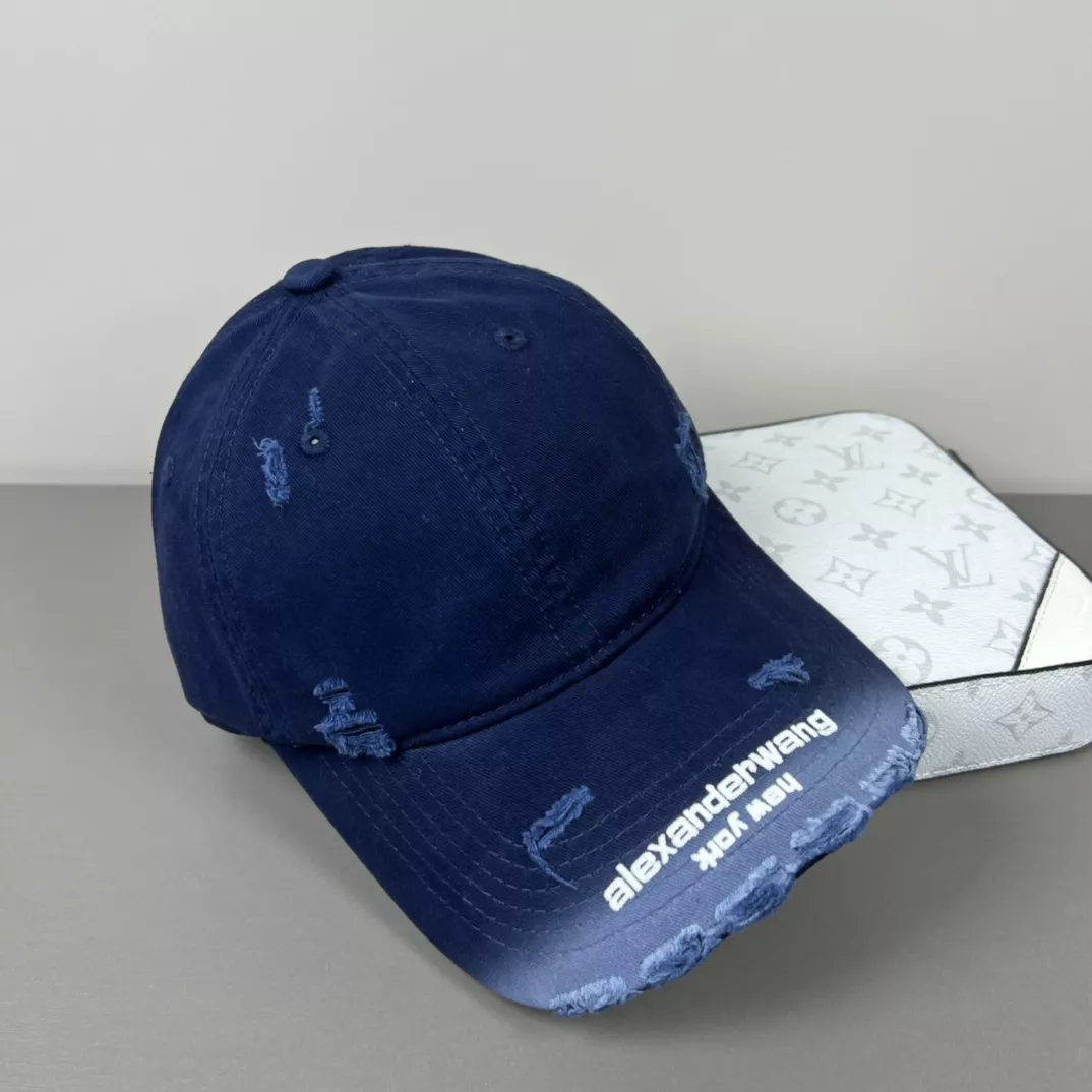 Alexander Wang Caps Trendsetting 221