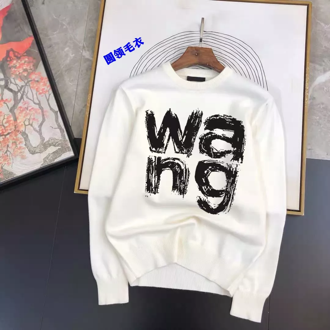 Alexander Wang Sweaters Long Sleeved For Men Flexible 2287